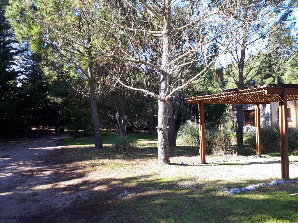 La Gringa, Un Espacio Unico En El Medio Del Bosque Mar de Las Pampas Dış mekan fotoğraf